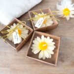 Daisy Flower Scented Candle